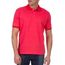http---ecommerce.adezan.com.br-118796D0001-118796d0001_2